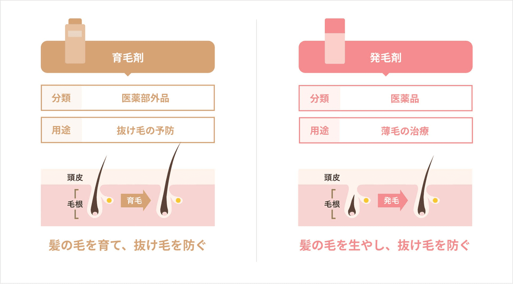 育毛剤と発毛剤の分類、用途、作用の違い