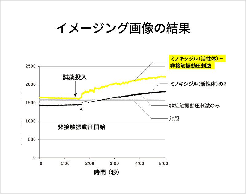 イメージング画像の結果 グラフ画像