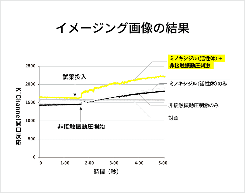 臓器・細胞・組織が「力」を感じる分子メカニズムの図
