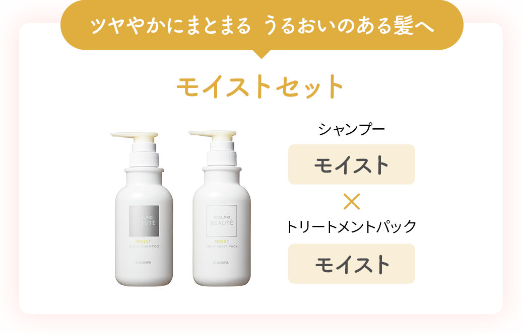 ツヤやかにまとまる うるおいのある髪へ モイストセット シャンプー「モイスト」× トリートメントパック「モイスト」
