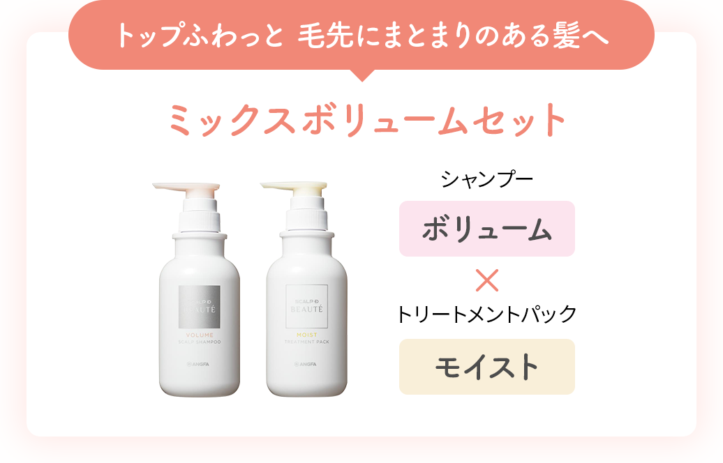 トップふわっと 毛先にまとまりのある髪へ ミックスボリュームセット シャンプー「ボリューム」× トリートメントパック「モイスト」